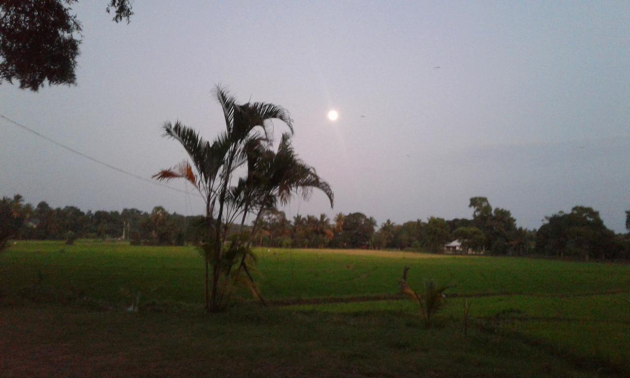 Risenlak Holiday Resort Polonnaruwa Buitenkant foto